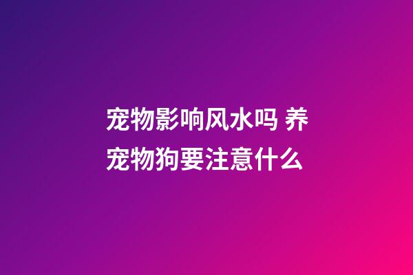 宠物影响风水吗 养宠物狗要注意什么